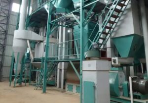 Pabrik Pakan Ikan Siap Dibangun di Loa Kulu, Upaya Pemkab Kukar Mengendalikan Harga Pakan