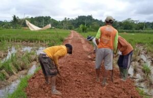 DPU Kukar Targetkan Pengerjaan Jalan Pertanian Rampung Tahun Ini