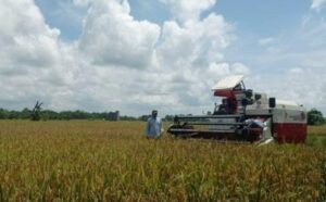 Riset Pertanian Terintegrasi Berbasis Kawasan di Kukar, Bappeda Kolaborasi dengan UGM