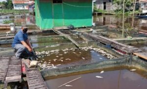 Desa Ponoragan Siapkan Sektor Perikanan untuk IKN Nusantara