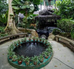 Samboja Lodge, Akomodasi Unik dan Berkesan di Tengah Hutan yang Mendukung Konservasi Orangutan