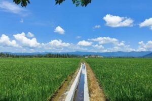 Seno Mendorong Pemprov Kaltim untuk Mengutamakan Pembangunan Saluran Irigasi Pertanian