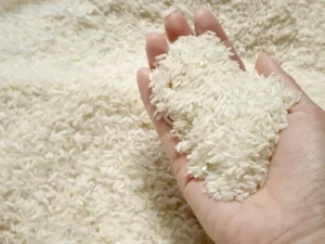 Pemrintah Desa Loh Sumber Terus Kembangkan Sektor Pertanian