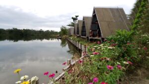 Wisata Danau Kumbara Berada di Desa Kota Bangun III