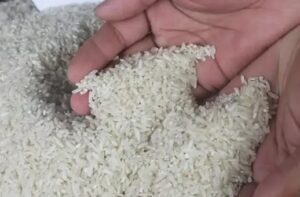 Beras Cap Tugu, Produk Unggulan Desa Loh Sumber yang Siap Bersaing di Pasar Modern