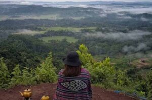 Pokdarwis Dewi Arum Dapat Bantuan dari Dispar Kukar untuk Kembangkan Wisata Desa
