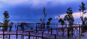 Glamping di Coconut Beach, Liburan di Pantai dengan Fasilitas Mewah