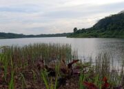 Ekowisata Telaga Biru di Sangasanga, Potensi Wisata Unggulan Terkendala Lahan