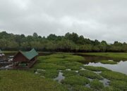 Kembang Janggut Kembangkan Pulau Layang Seribu Jadi Destinasi Andalan