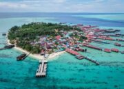 Menyelam di Surga Bawah Laut Derawan, Wajah Eksotis Kalimantan Timur