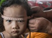 DPRD Kaltim Sebut Gizi dan Kesehatan Lingkungan Jadi Faktor Penting Cegah Stunting