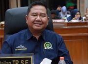 Minim Kesadaran Lingkungan, Perusahaan Tambang di Kaltim Jadi Sorotan