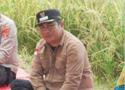 Anggana Siapkan UMKM Go Global, Produk Lokal Dibidik Tembus Pasar Ekspor