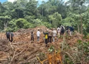 Tambang Ilegal Rusak Laboratorium Alam Unmul, Ancaman Serius di Hutan Pendidikan