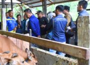 Tinjau Peternakan Rakyat di Samboja, DPRD Kaltim Komitmen Akan Tata Ulang Arah Kebijakan