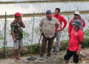 Edi Damansyah Dorong Modernisasi Pertanian Lewat Rice Transplanter