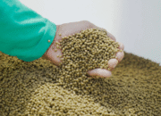 BUMDes Loa Raya Perkuat Kemandirian Tambak Lewat Produksi Pakan Ikan Lokal